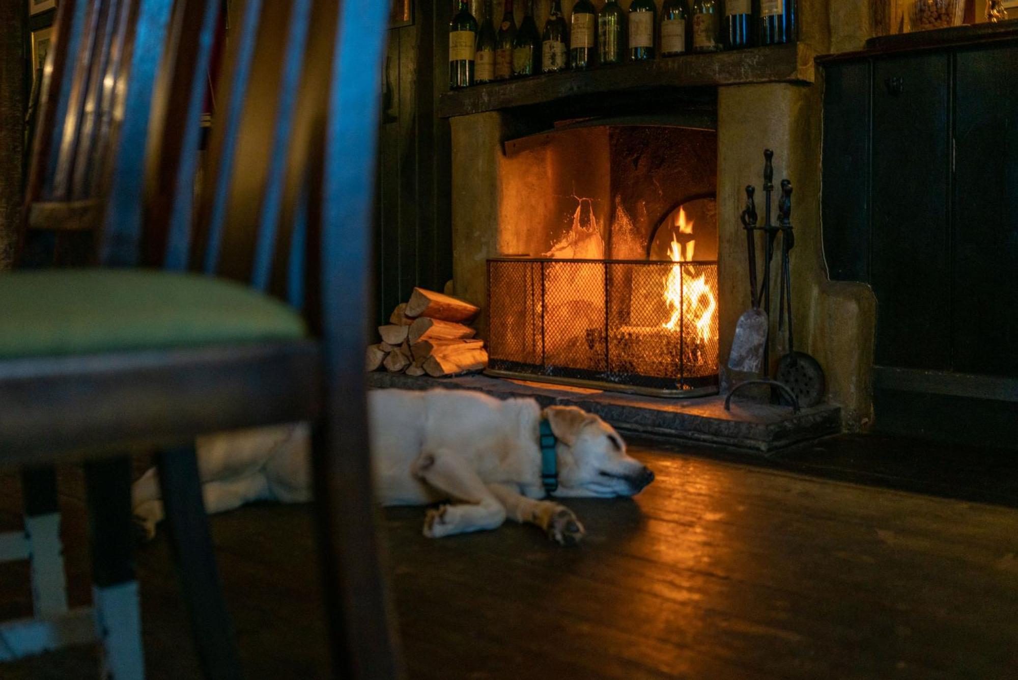 The Anchor Inn Lower Froyle Bagian luar foto